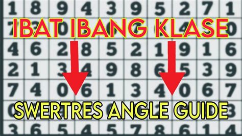 swertres angle guide double
